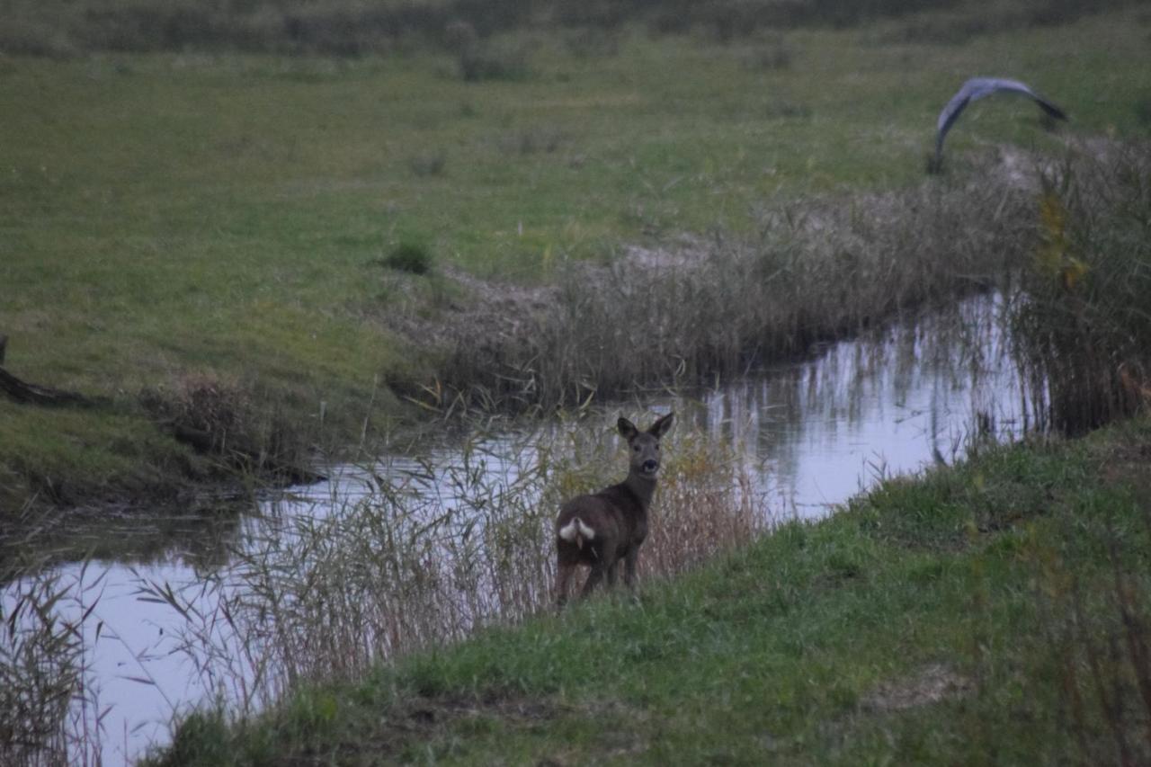 B&B 'T Steurgat Werkendam Buitenkant foto